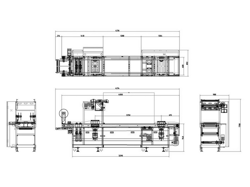 RS-420 自動熱成型真空包裝機